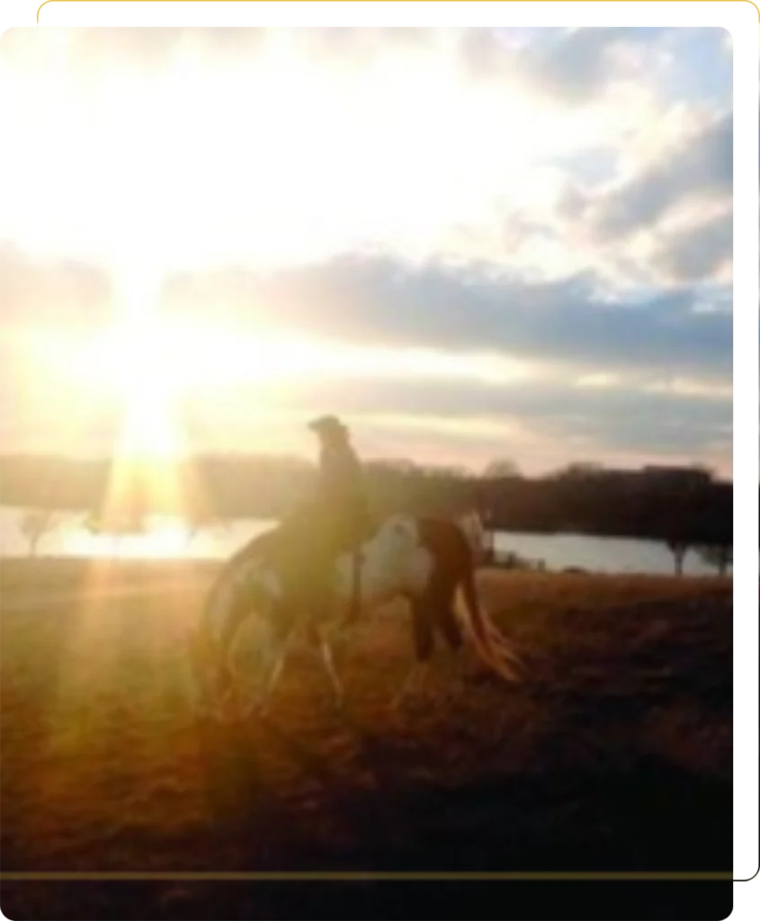 A person riding on the back of a horse.